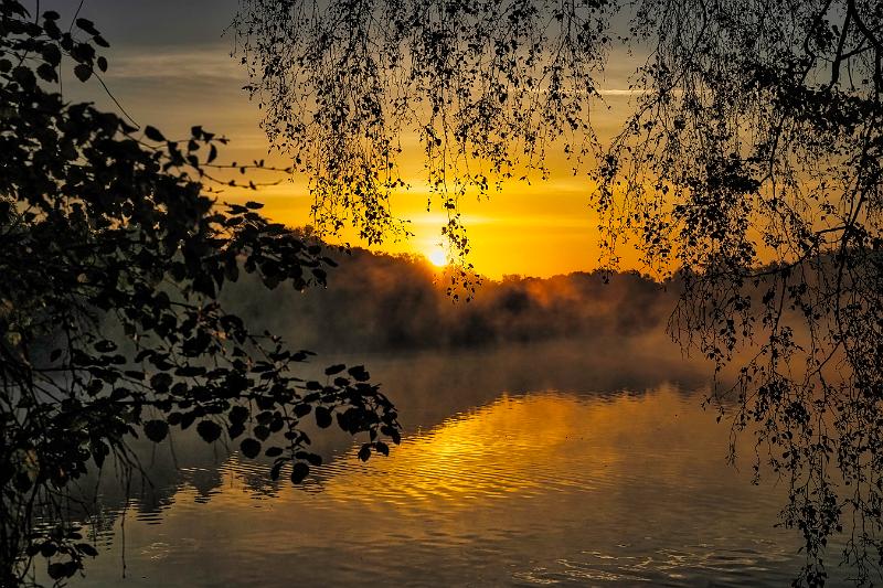 Borner See (16 von 109)